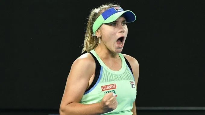 套详尽的比 套详尽的比